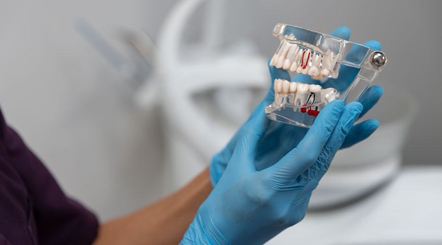 Ortodoncia y Ortopedia Maxilar